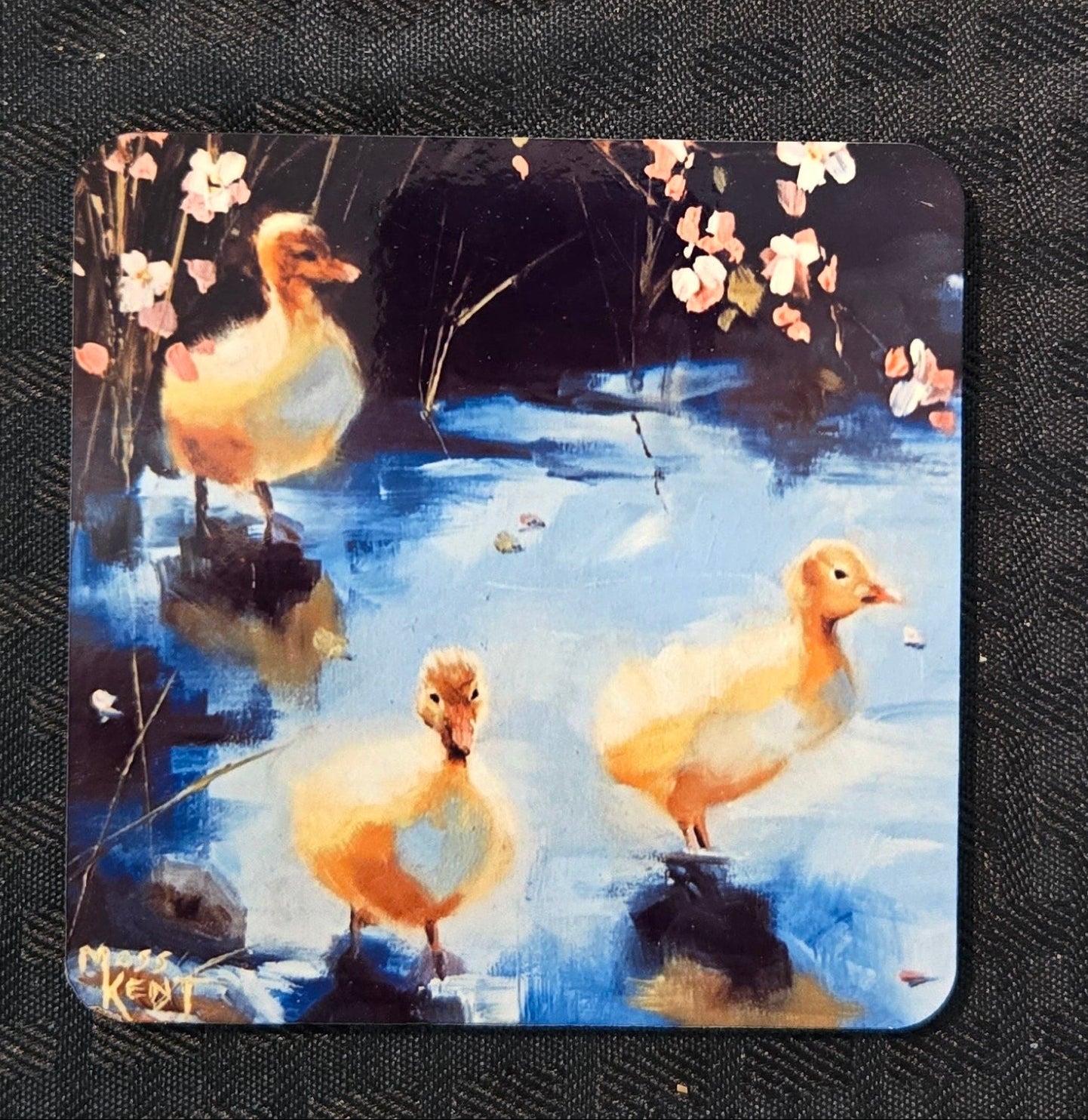 Coaster- Ducklings In Pond