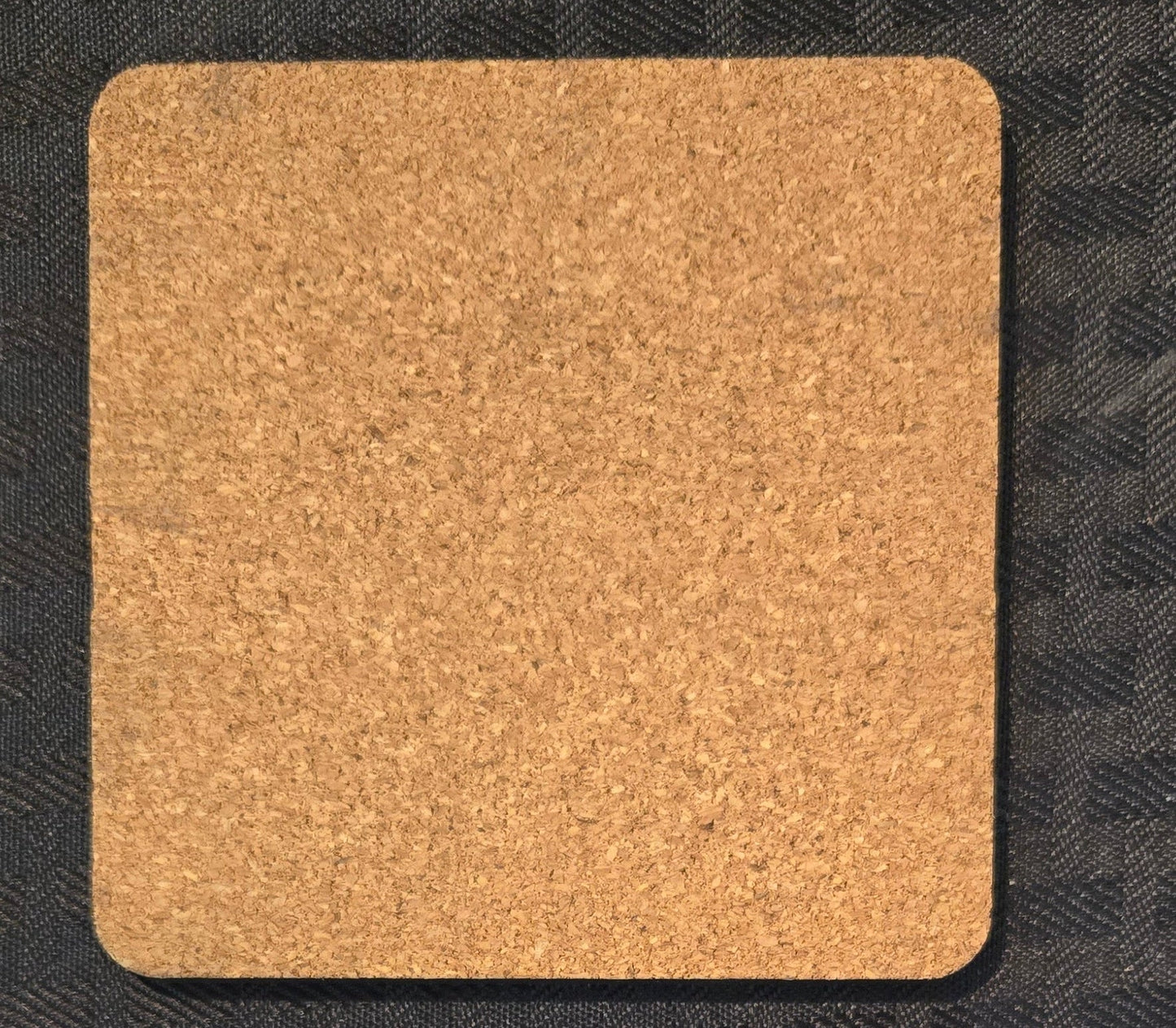 Coaster- Highland Cow and Calf