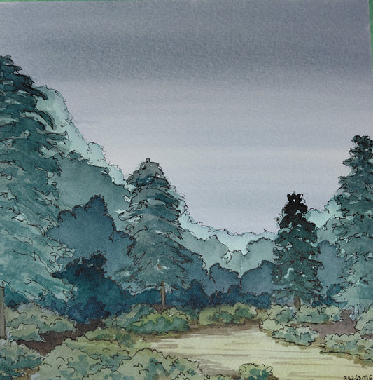 Framed Watercolor and Ink - Sea of Green