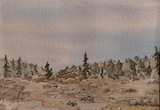 Framed Watercolor and Ink - Laramie Range Hike