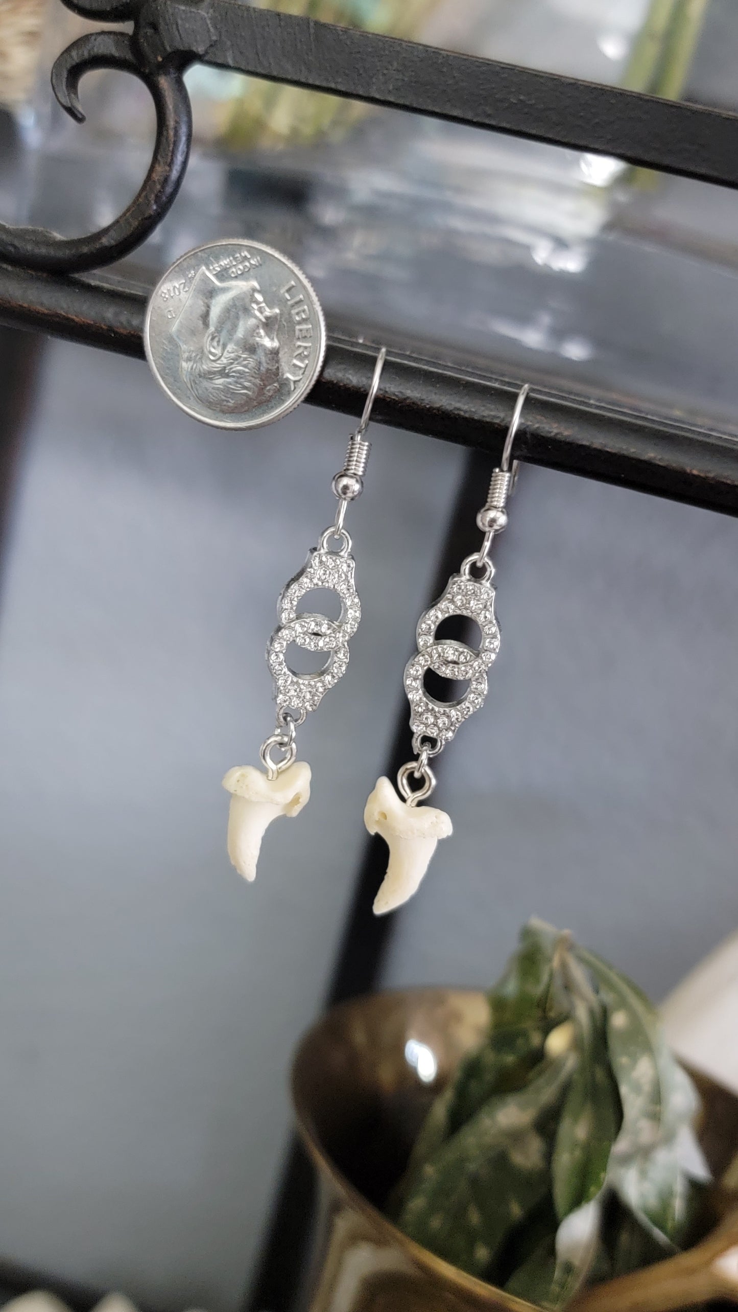 Sparkly Cuffs with Coyote Toe Bone Earrings