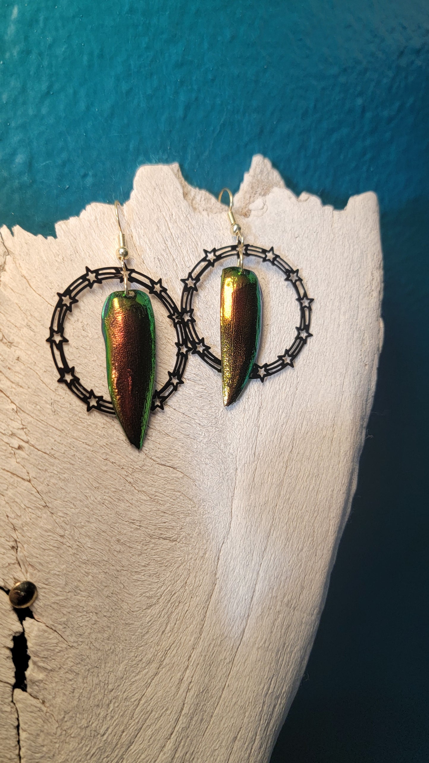 Beetle Wings with Star Hoop Earrings