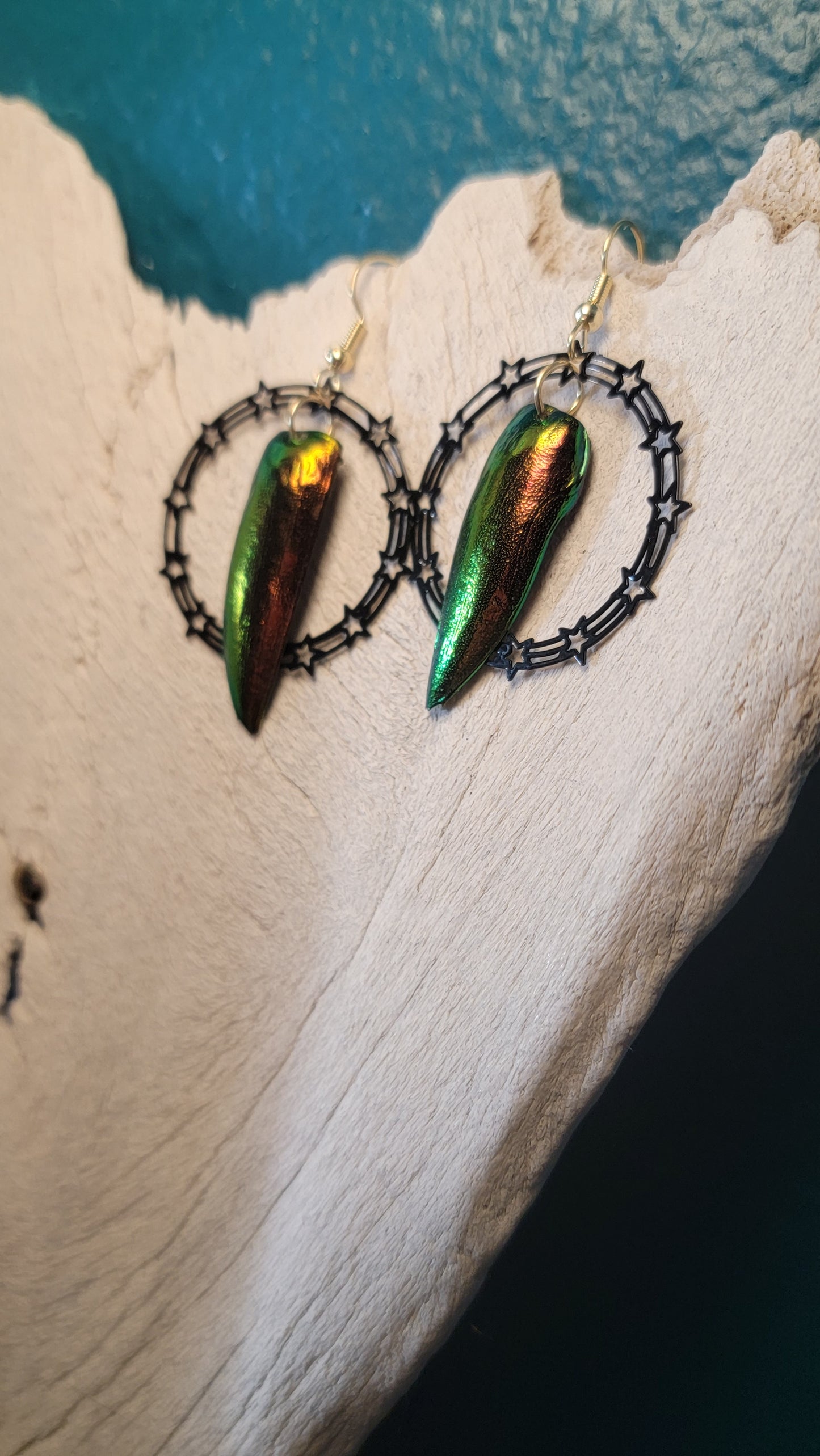 Beetle Wings with Star Hoop Earrings