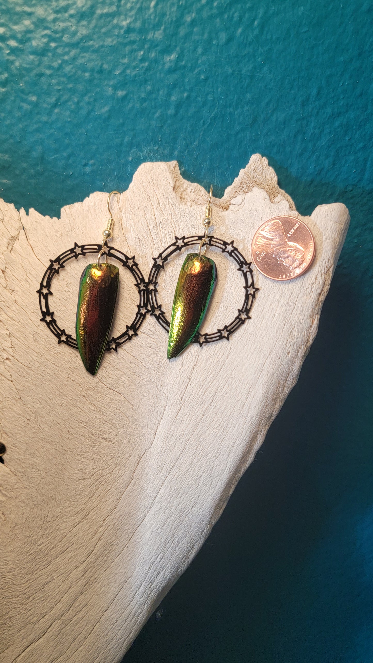 Beetle Wings with Star Hoop Earrings