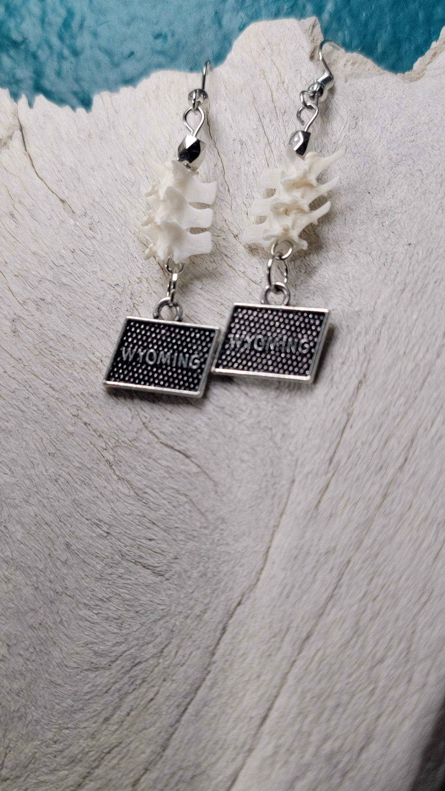 Rattlesnake Vertebrae and Silver Wyoming Charm