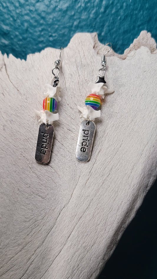 Rattlesnake Vertebrae with Pride Rainbow