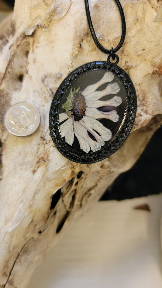 Necklace- Cape Daisy Flower Black