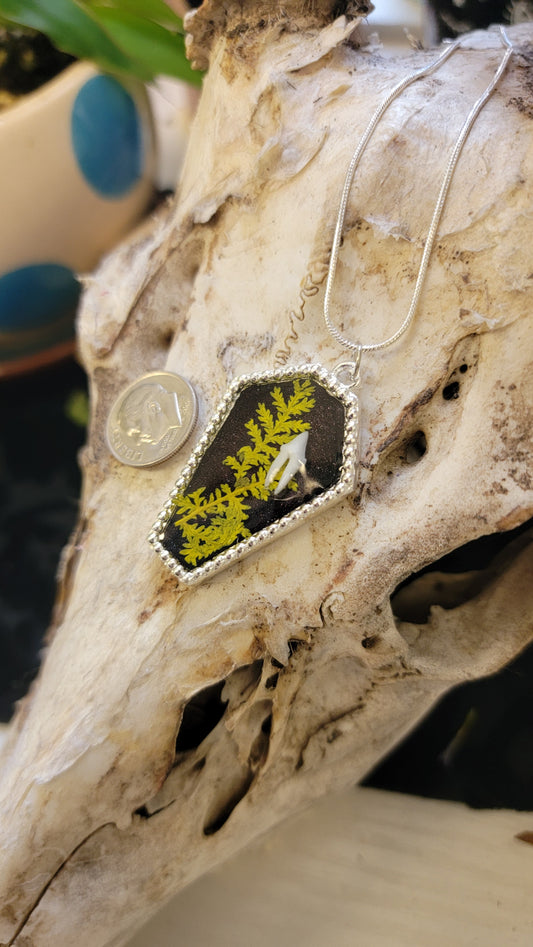 Necklace- Raccoon Tooth and Floral Coffin