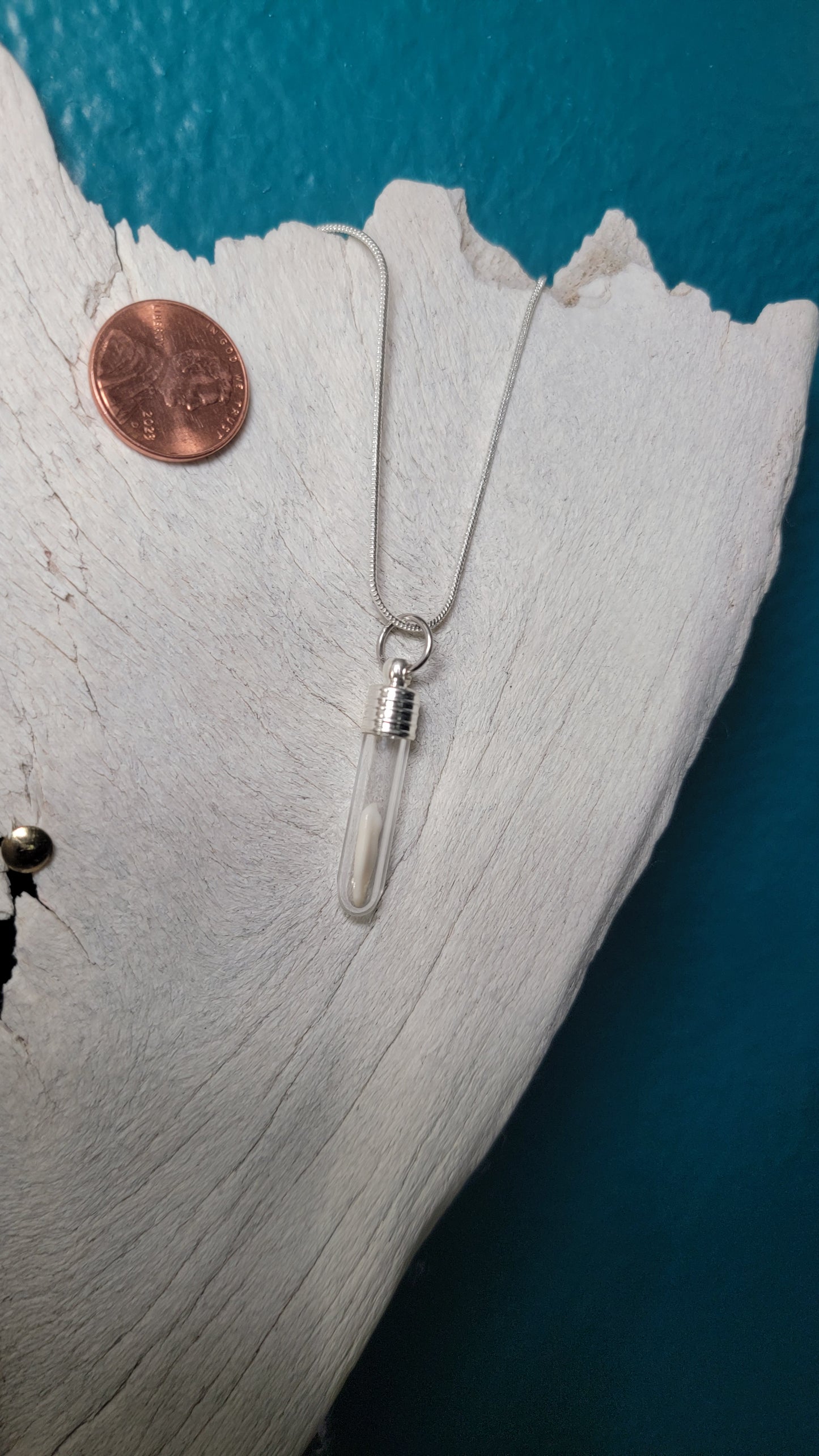 Silver Simplistic Opossum Fang Vial Necklace