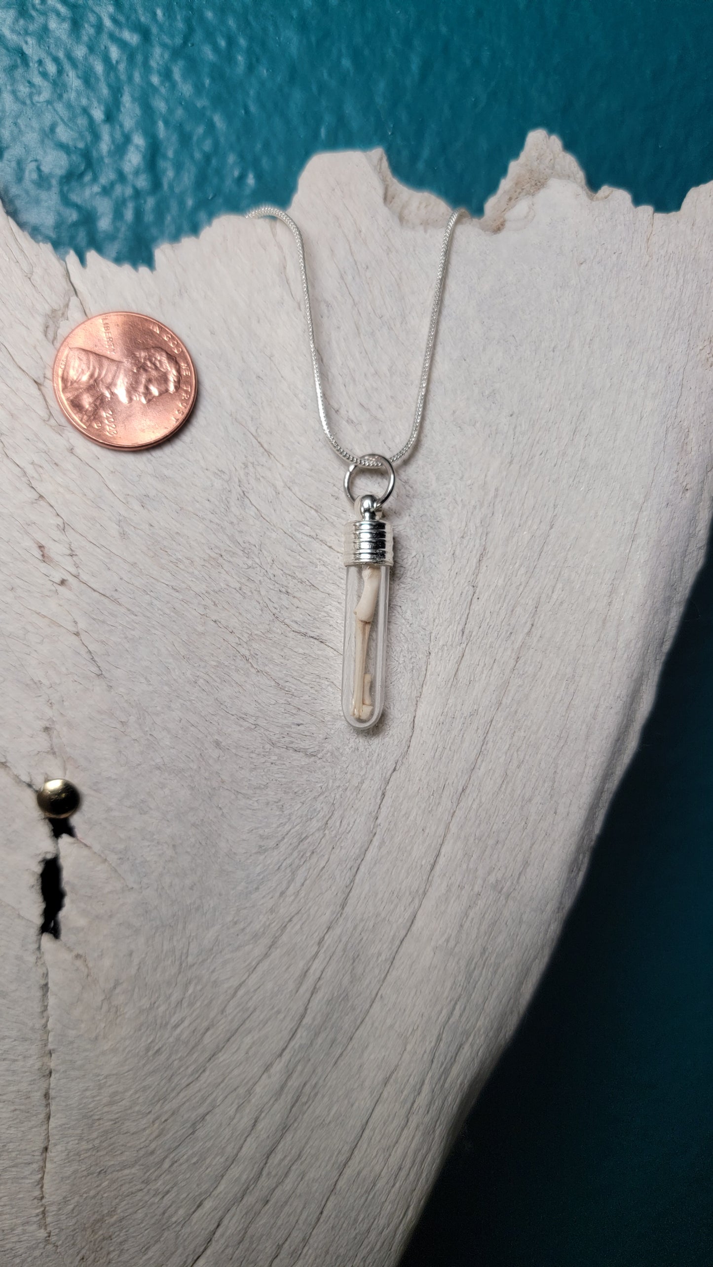 Silver Simplistic Rodent Bones Vial Necklace