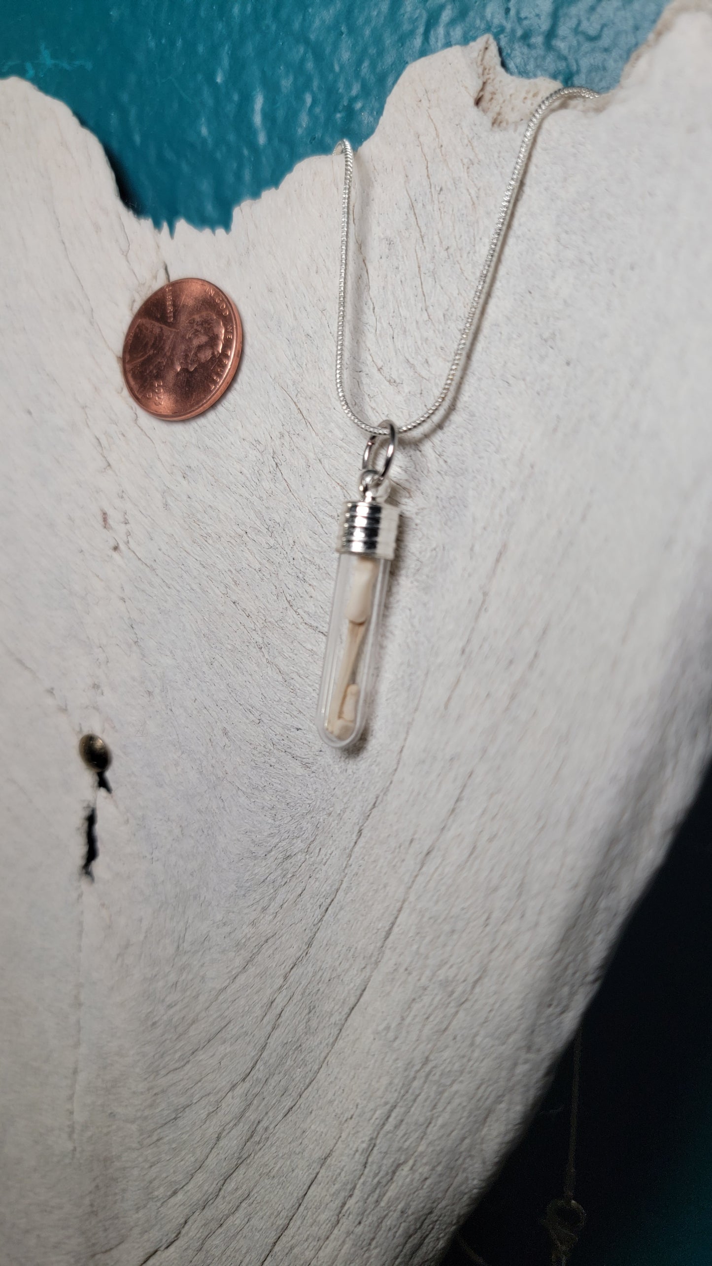 Silver Simplistic Rodent Bones Vial Necklace