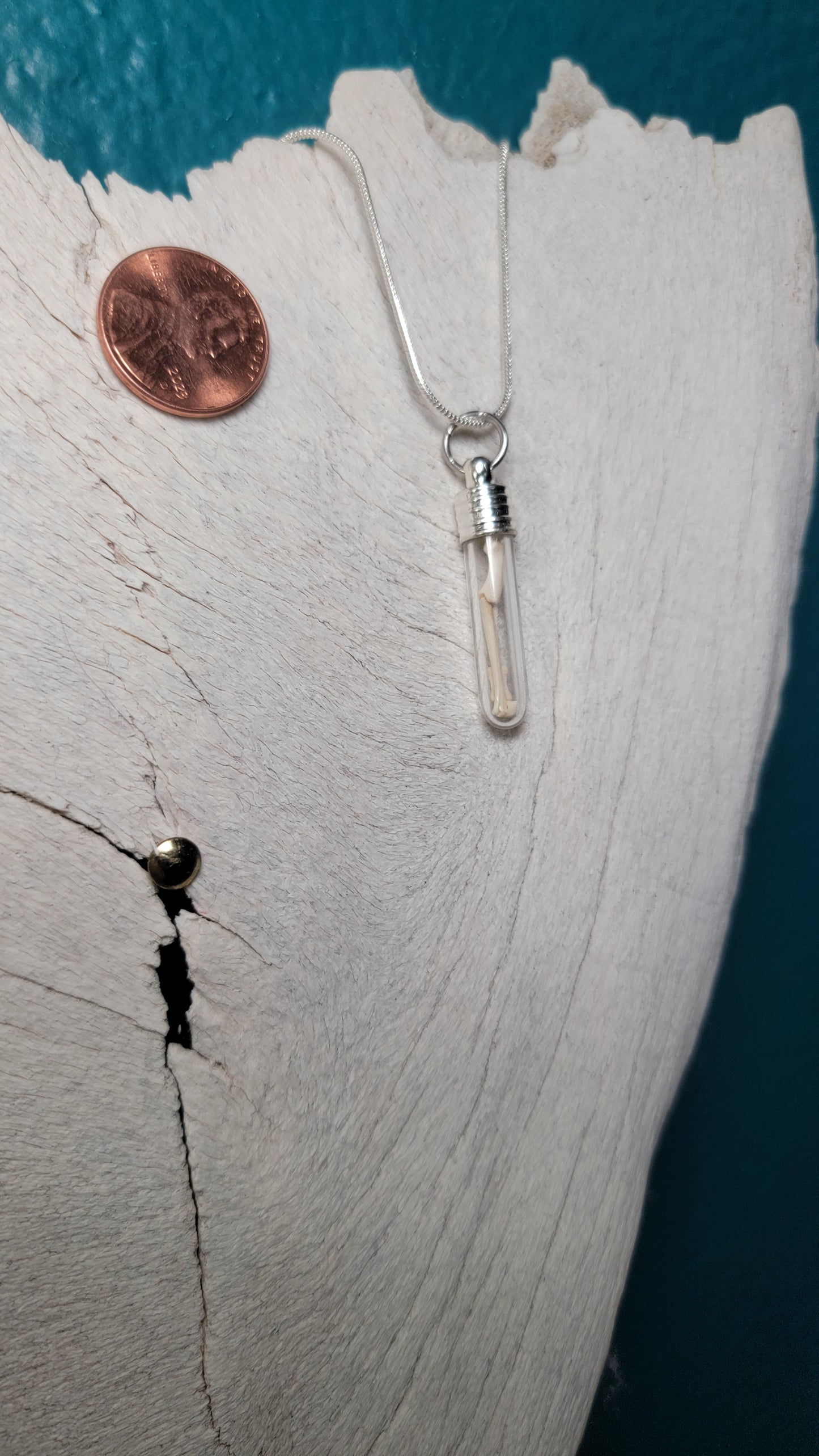 Silver Simplistic Rodent Bones Vial Necklace