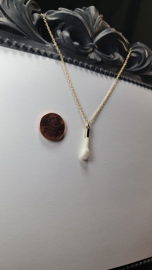 Necklace - Deer Tooth Gold Chain