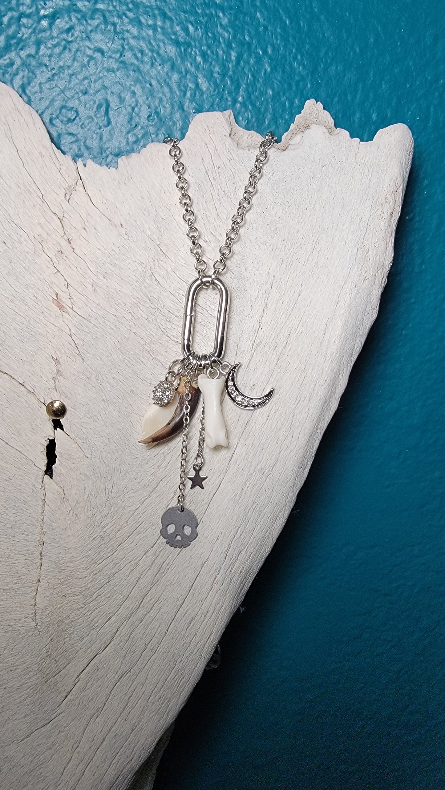 Silver Charm and Bone Necklace mix