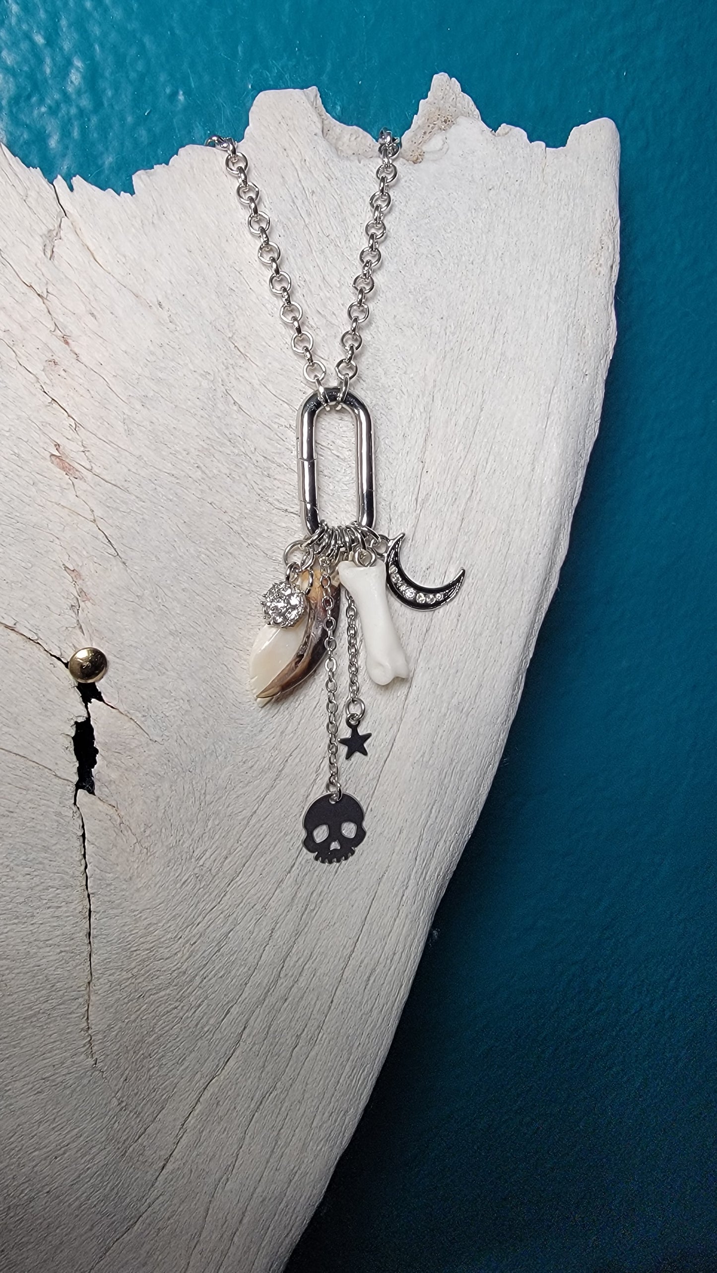 Silver Charm and Bone Necklace mix