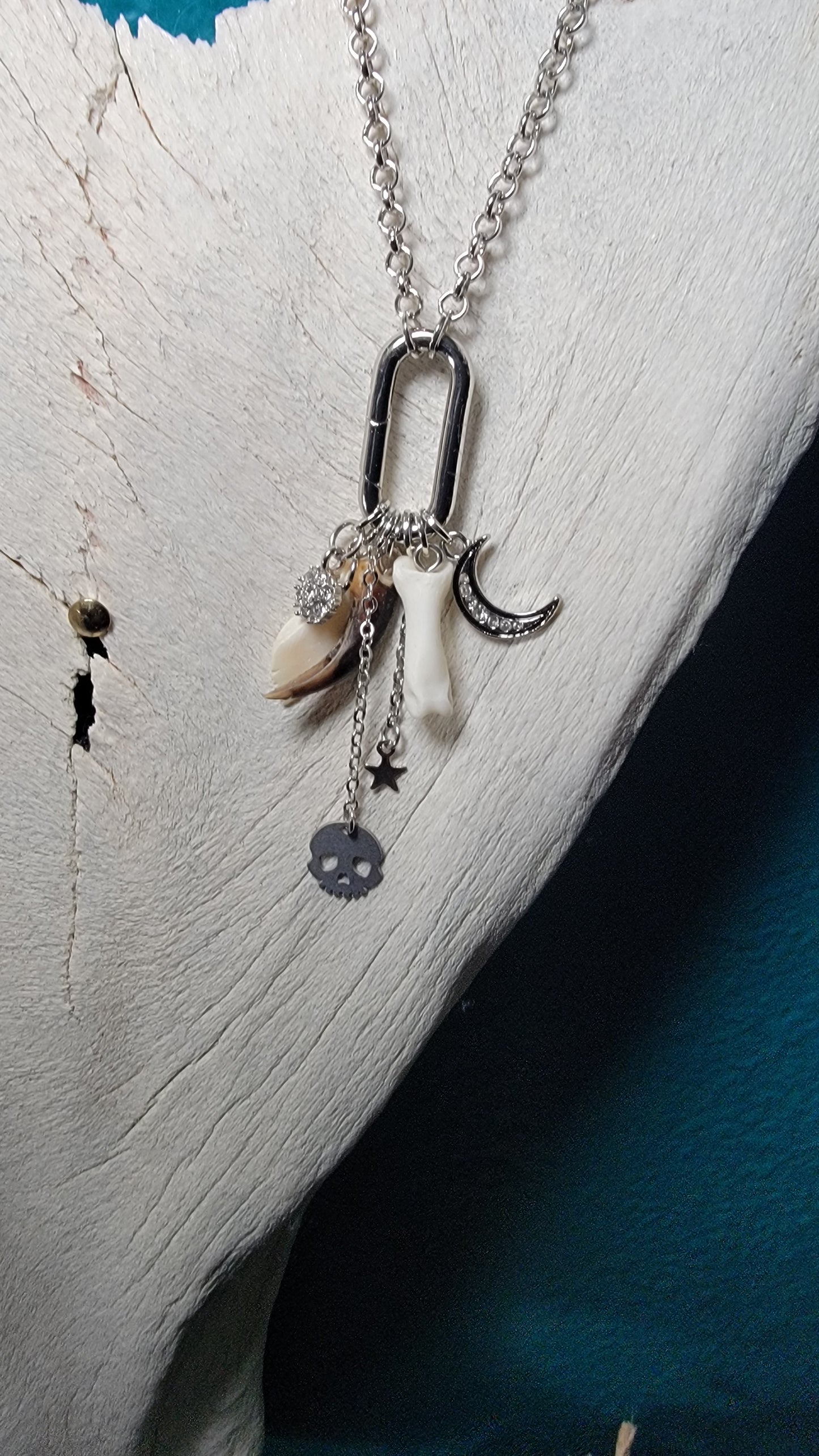 Silver Charm and Bone Necklace mix