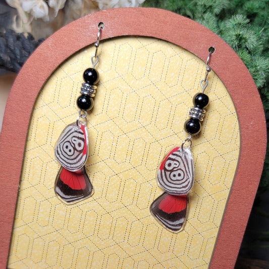 Earrings - Butterfly Wings- Cramer's Butterfly