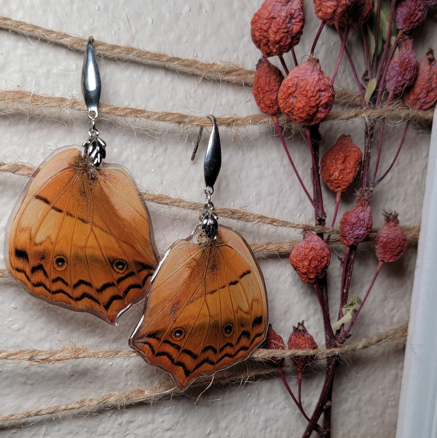Earrings - Butterfly Wings- Charaxes Butterfly