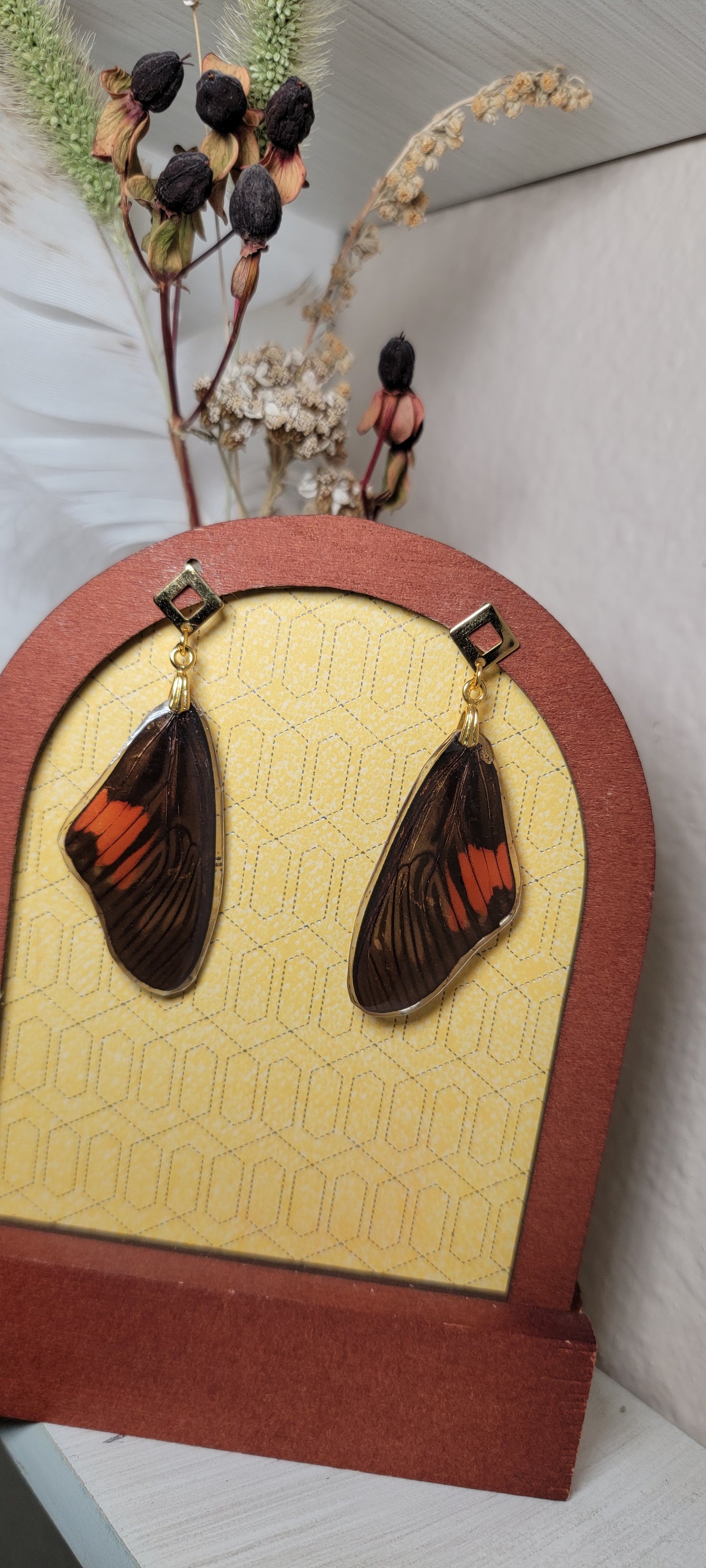 Earrings - Butterfly Wings- Clark's False Acraea