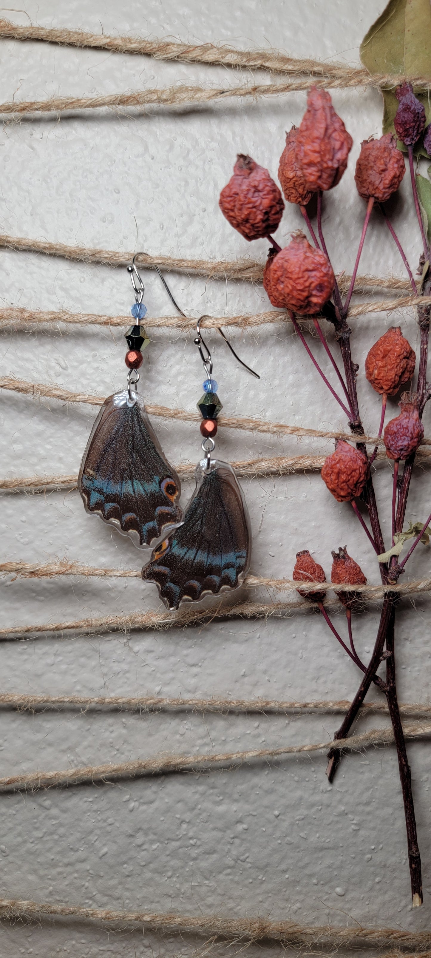 Earrings - Butterfly Wings- Prooksian Prepona