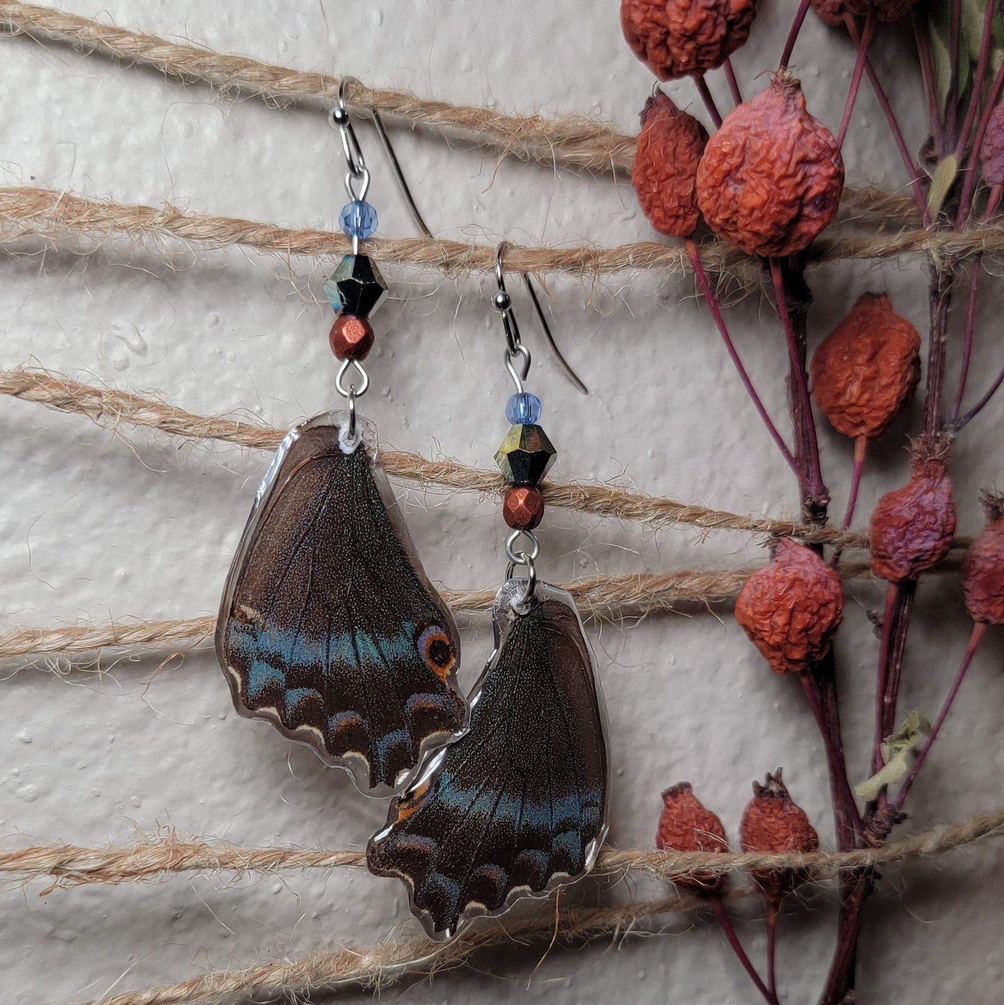 Earrings - Butterfly Wings- Prooksian Prepona