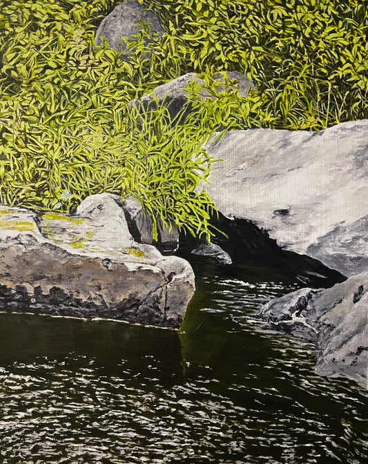 Original Oil- Douglas Creek Version 1