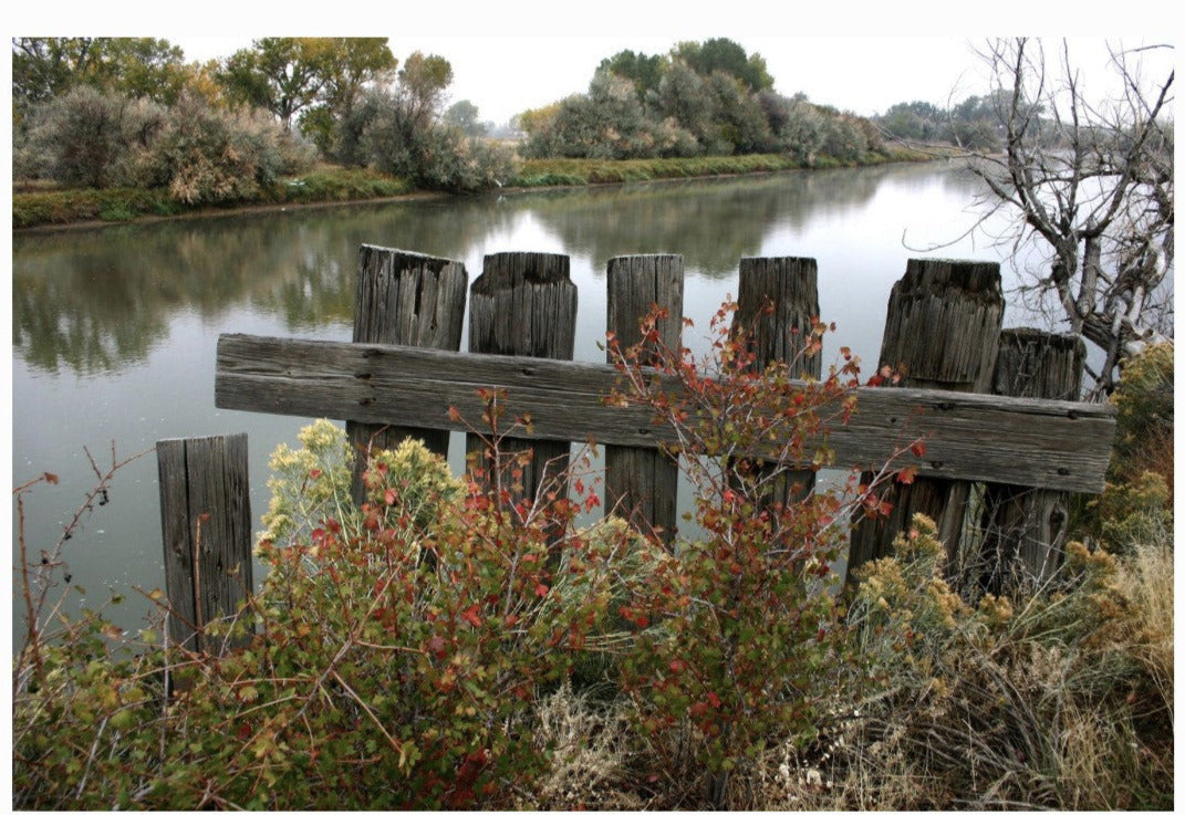 river scene photograph