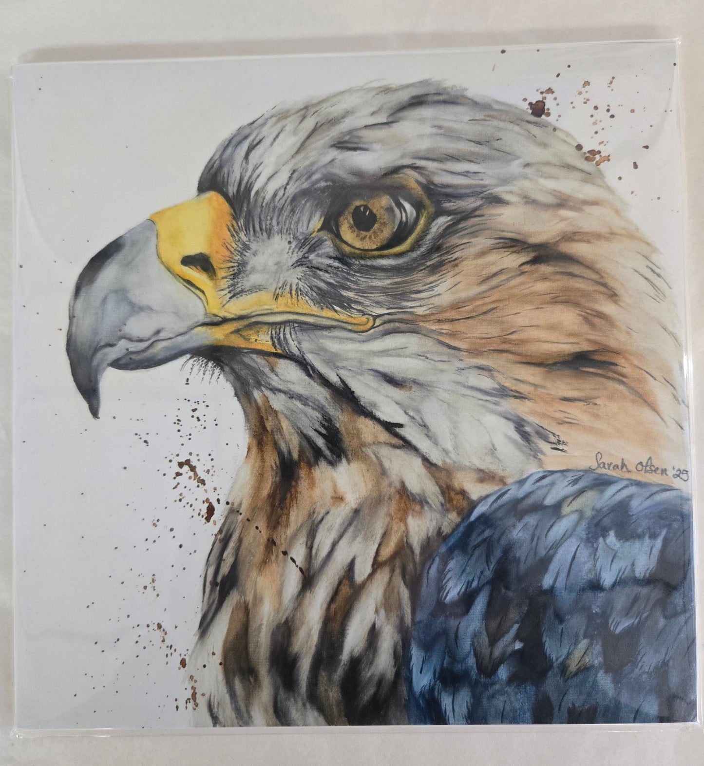 Eagle Eye  Watercolor Print
