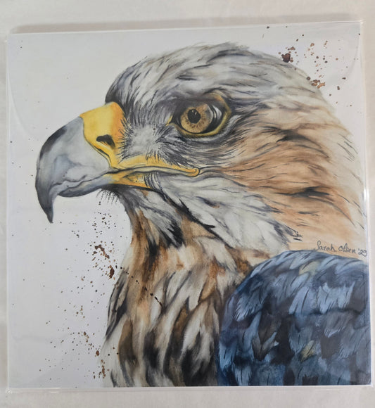Eagle Eye  Watercolor Print