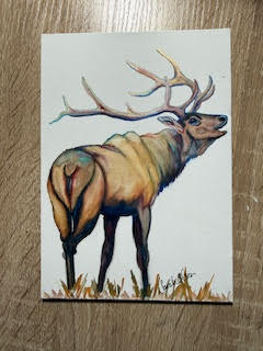 Watercolor Print- "The Elk" Elk in Bugle