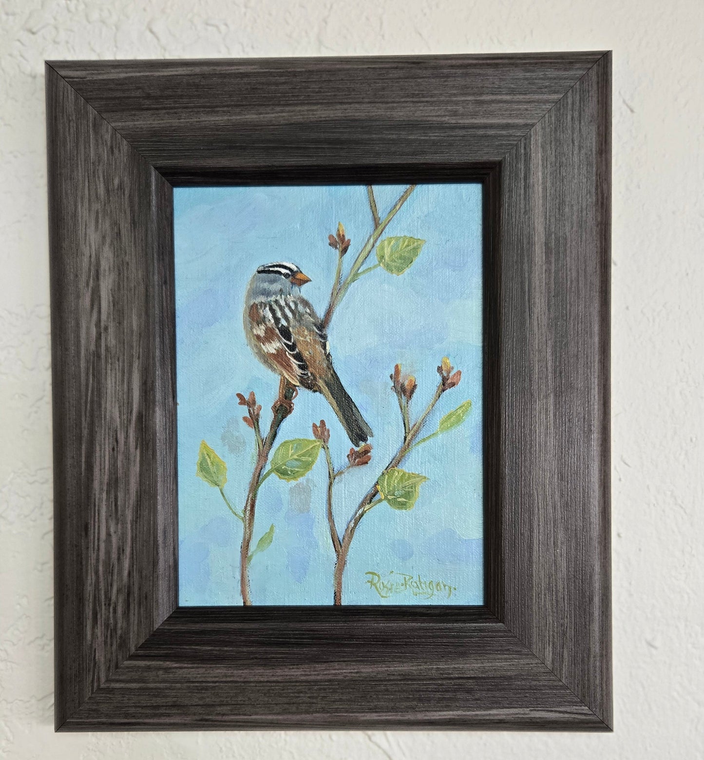 Original Oil Painting Framed- "Spotlight" White Crowned Sparrow