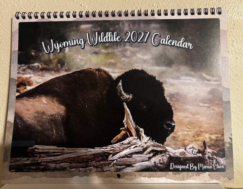 2027 Calendar- Wyoming Wildlife