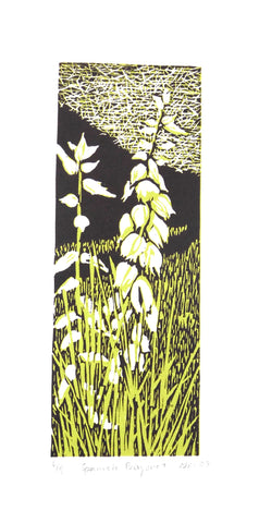 " Spanish Bayonet " Matted Original Relief Print