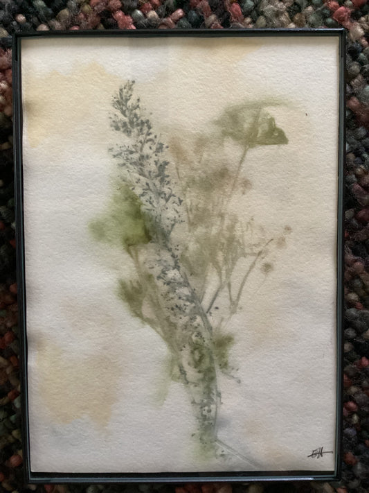 Wyoming Wildflower 5 x 7 Eco Print #2