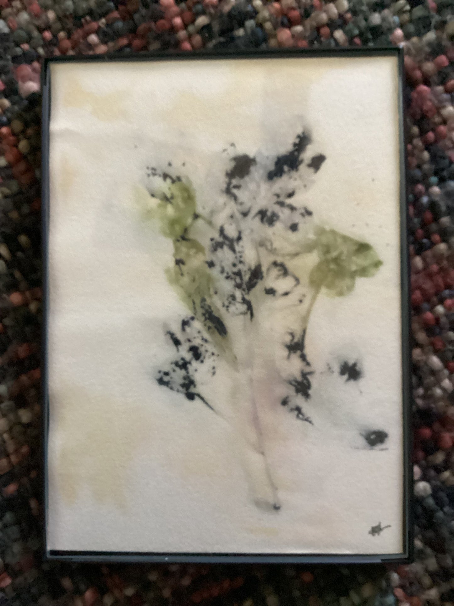 Wyoming Wildflower 5 x 7 Eco Print #6