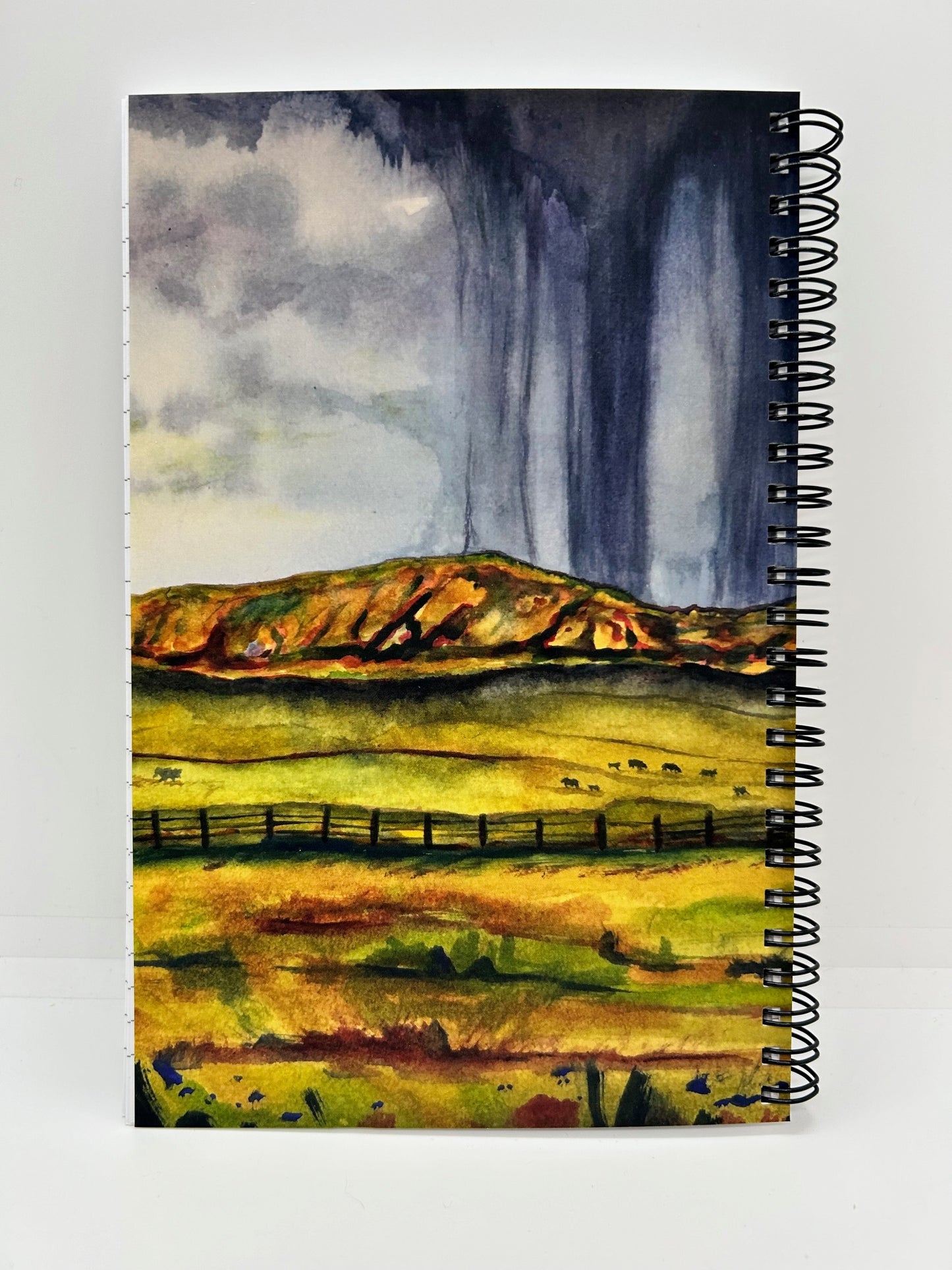" Wild Horses " Blank Spiral Notebook