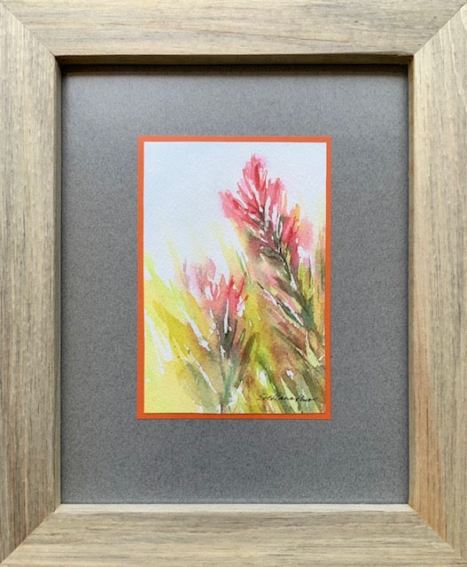 " Indian Paintbrush" Original Watercolor Framed