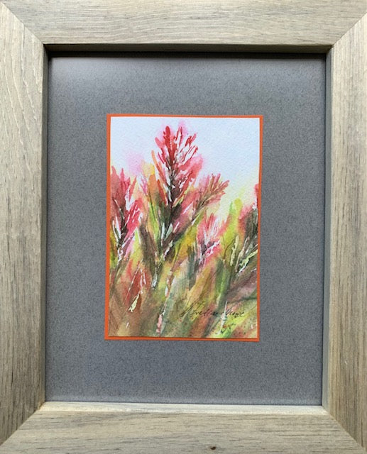 " Indian Paintbrush" Original Watercolor Framed