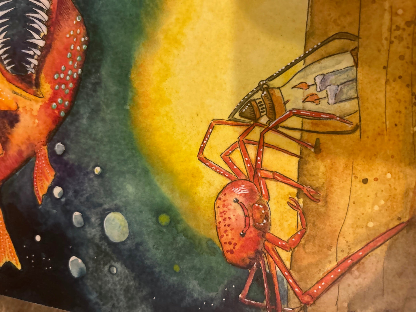 Story Lines - Angler Fish, Diver, Octopus and Crab - Original Watercolor