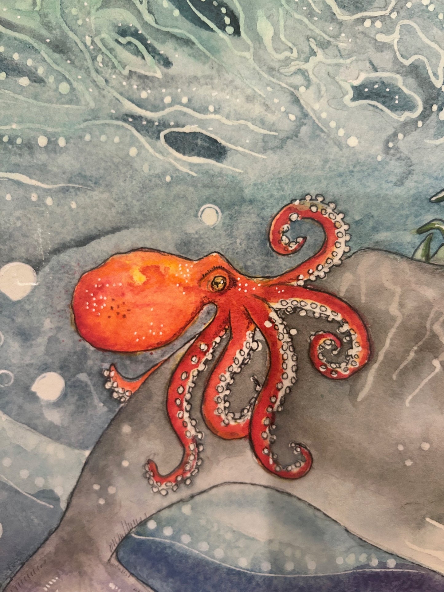 The Lost Story - Humpback Whale W/ Octopus Original Watercolor