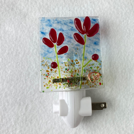 Nightlight - Indian Paintbrush
