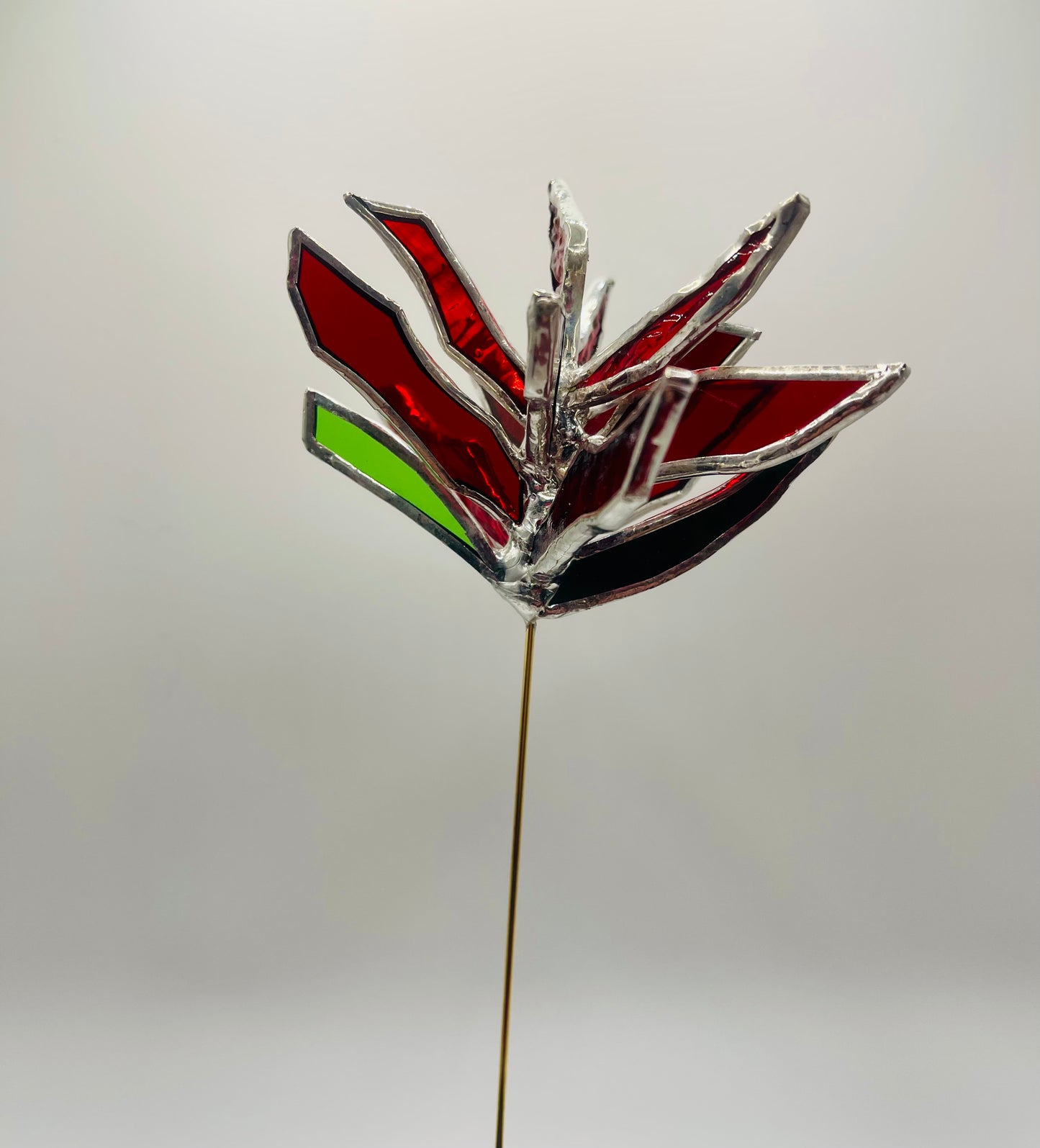 Stained Glass Plant Buddy- Indian Paintbrush