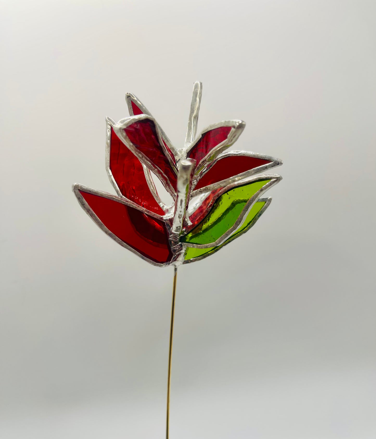 Stained Glass Plant Buddy- Indian Paintbrush