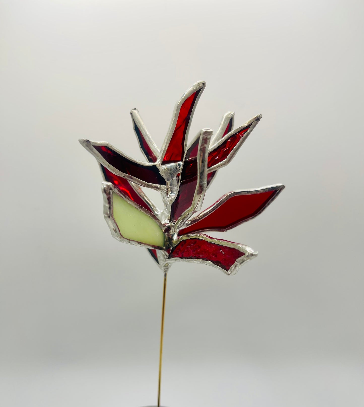 Stained Glass Plant Buddy- Indian Paintbrush