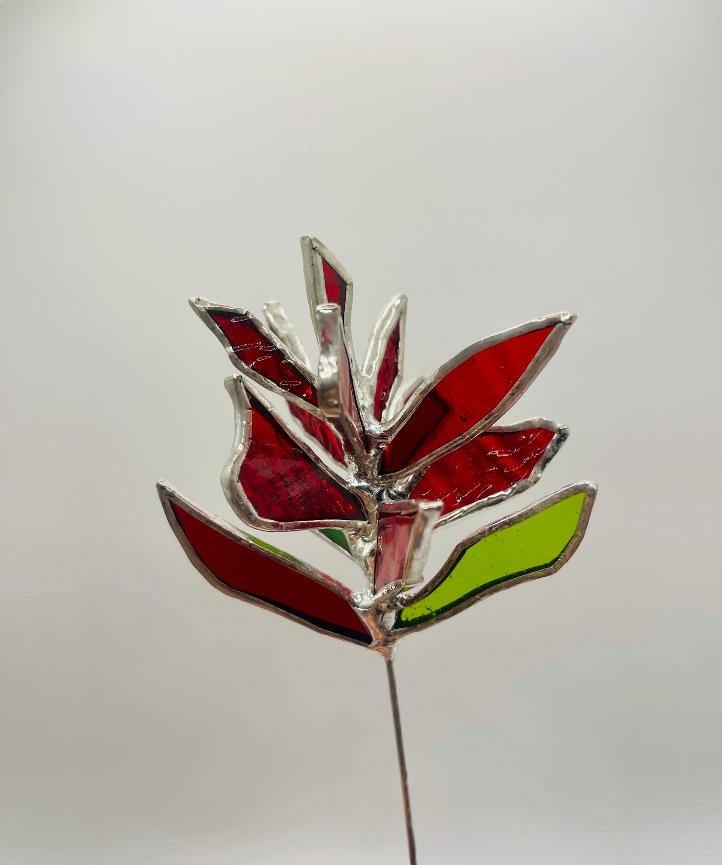 Stained Glass Plant Buddy- Indian Paintbrush