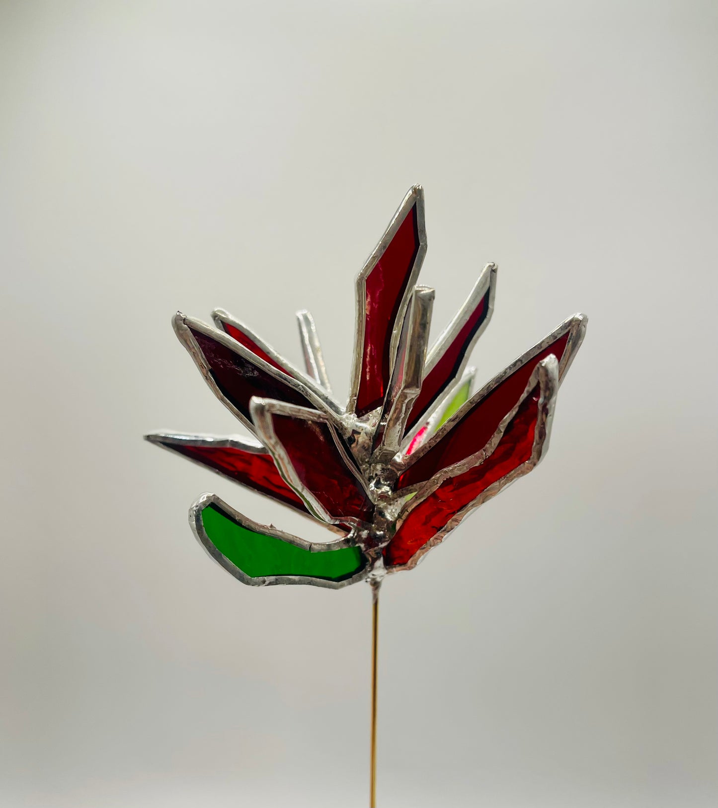 Stained Glass Plant Buddy- Indian Paintbrush