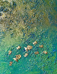 Original Wall Art- " Freshwater Mountain Time "
