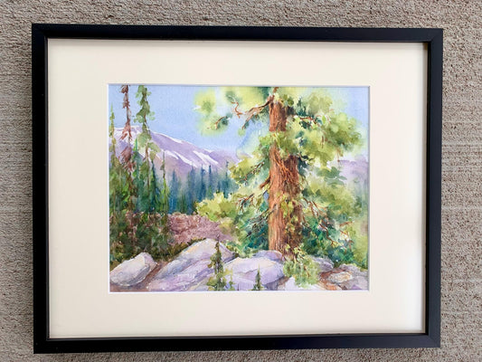 " French Creek Trail " Framed Original Watercolor Watercolor Artist: Svetlana Howe Original watercolor painting  Pine tree along the French Creek Trail in the Snowy Range Mountains  14" long x 11" high matted in cream colored matting  14 1/2" long x 11 1/2" high framed in a slim black frame  Eye bolt and wire on the back of the frame for hanging