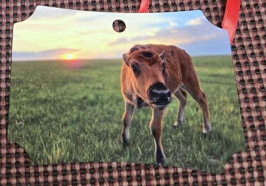 Ornament- "Jolene" Bison Calf