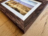 " Red Desert Antelope " Photograph